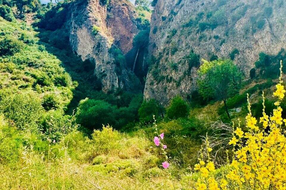 מצפור גפני, השביל נפתח אחרי 10 שנים , נאג'י רשאש