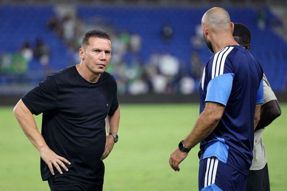 ברק בכר מתוסכל , אלן שיבר