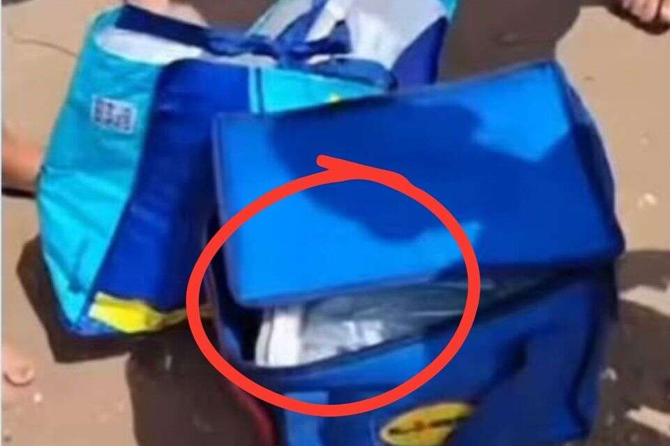 מה שהתגלה בשקית השאיר את כולם בהלם , צילום מסך, רשתות חברתיות