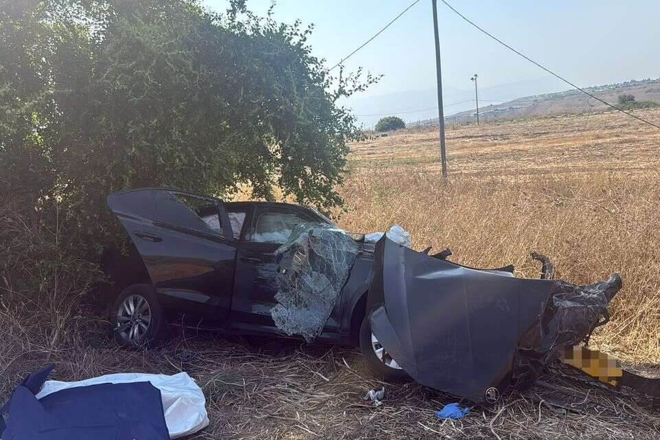 התאונה בצומת אפיק , תיעוד מבצעי מד"א