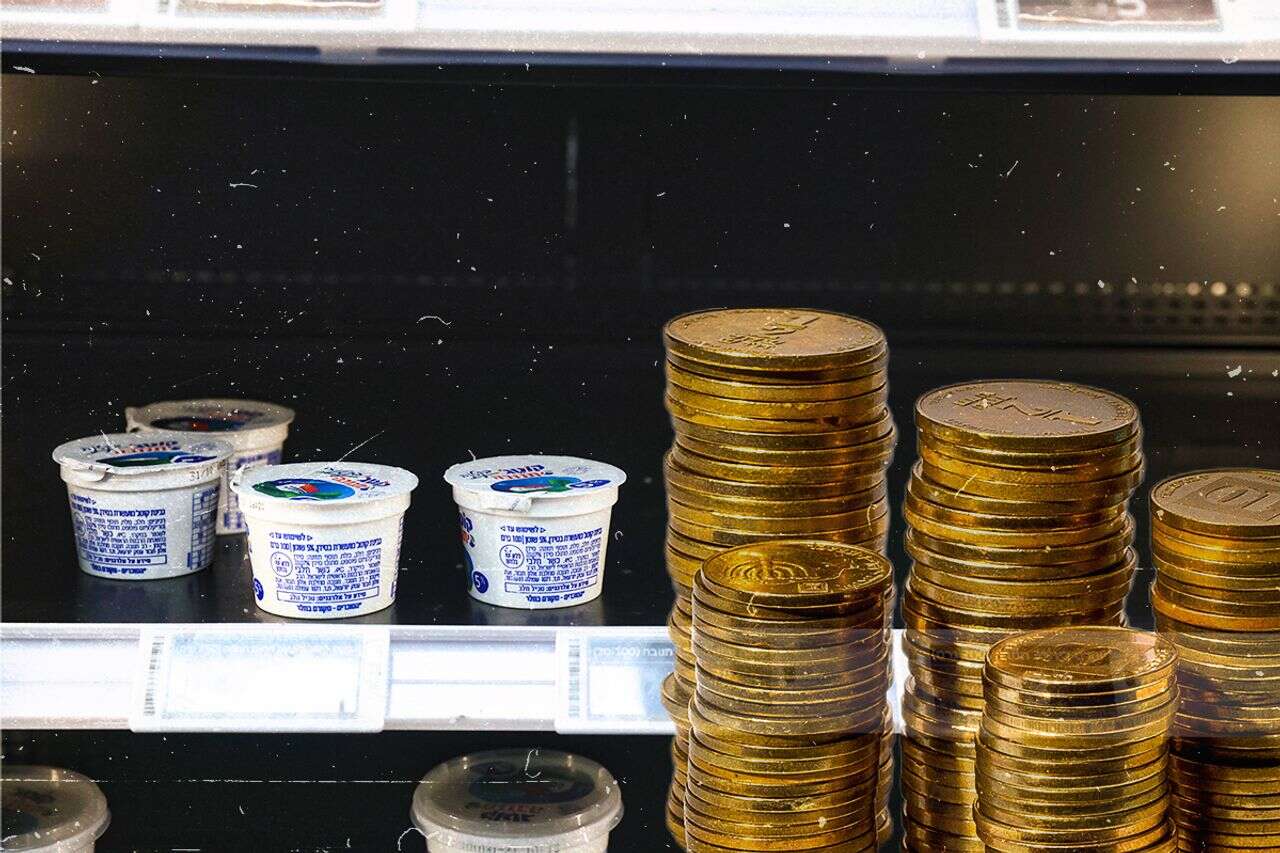 הגבינה בלי הבית: המחסור בקוטג’ מנפץ אשליה שעליה בנויים חיינו | היום