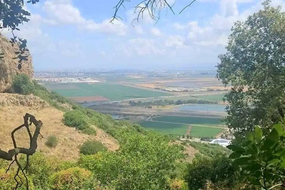 עמק יזעאל מהכרמל , מירב ראט