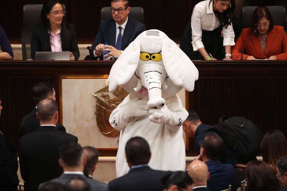 הסנאטור הקולומביאני הנבחר החדש לואיס קרלוס רואה בתחפושת הפיל , AFP