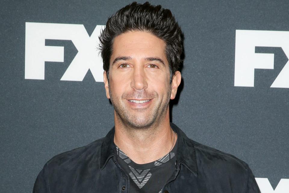 David Schwimmer  , 