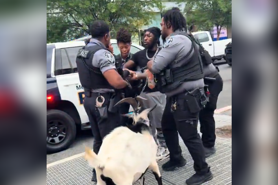 מעצר אדם שהחזיק בעז בוושינגטון , צילום מסך מתוך רשת X