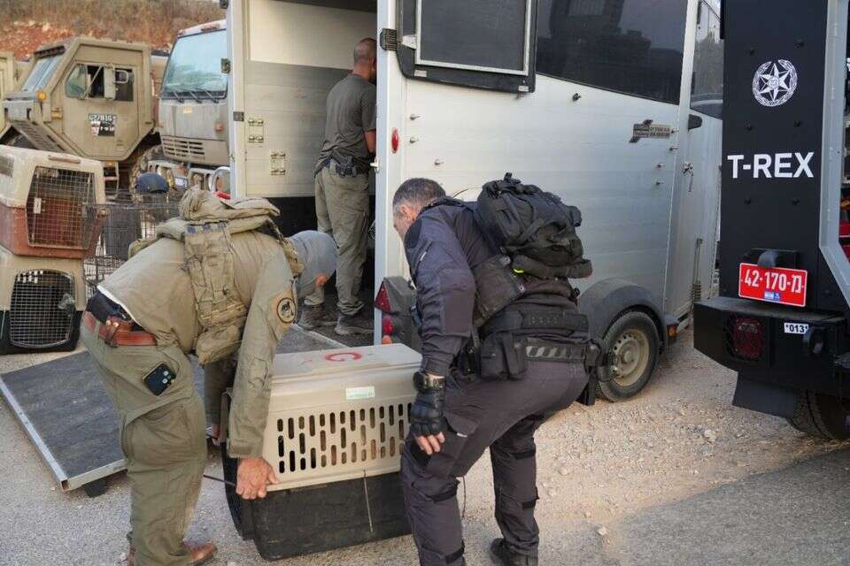 חילוץ הכלבים מתוך אחד המתחמים , דוברות המשטרה