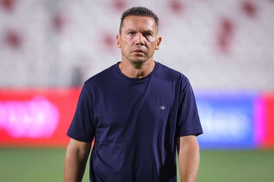 ברק בכר , מאור אלקסלסי