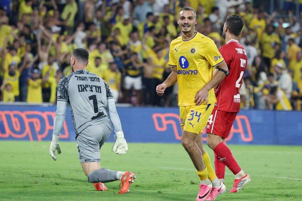 סייד אבו פרחי , אלן שיבר