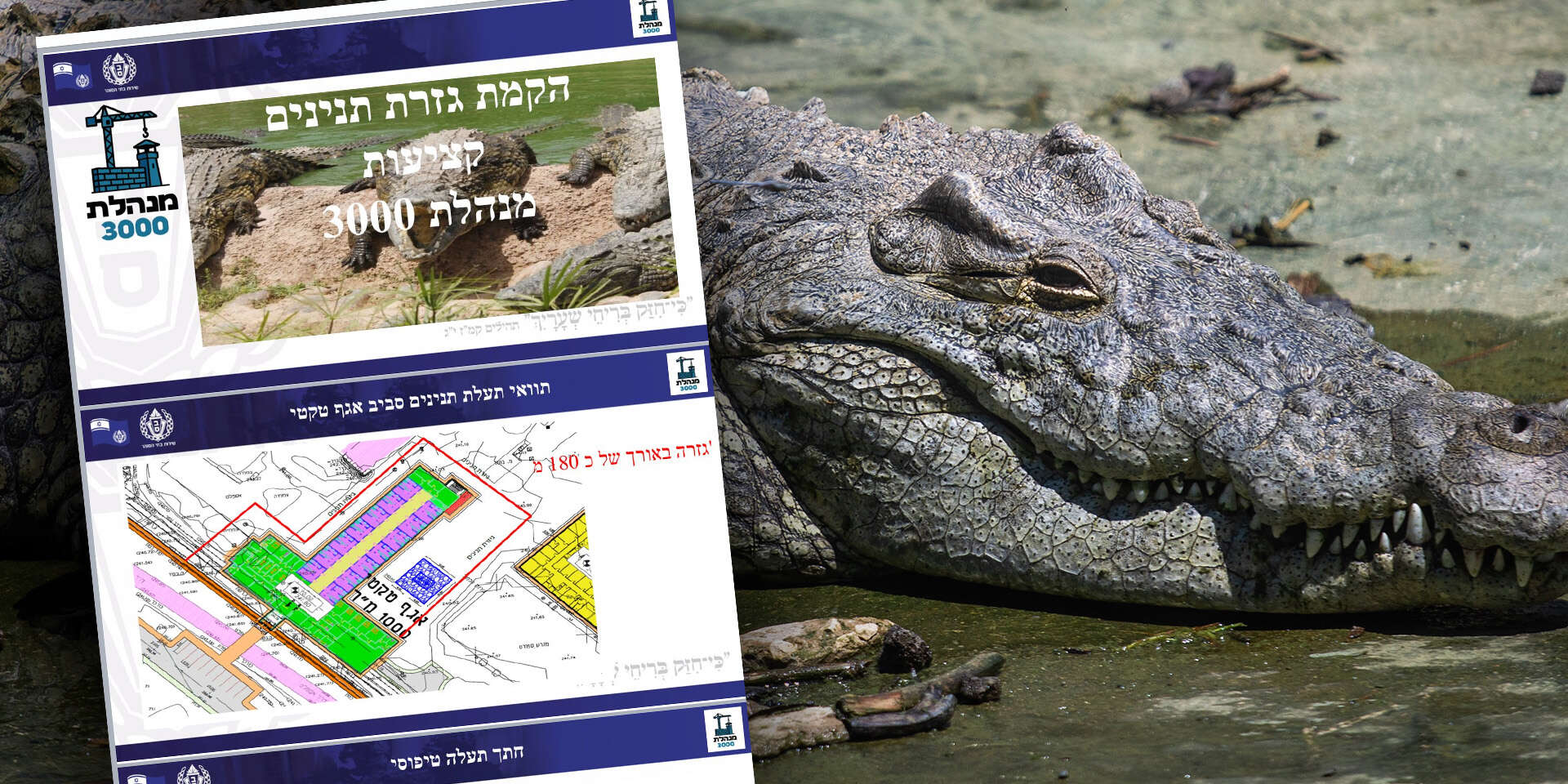 מציאות נושכת. תנין יאור לצד תוכניות השב"ס שנחשפות לראשונה , אורן בן חקון