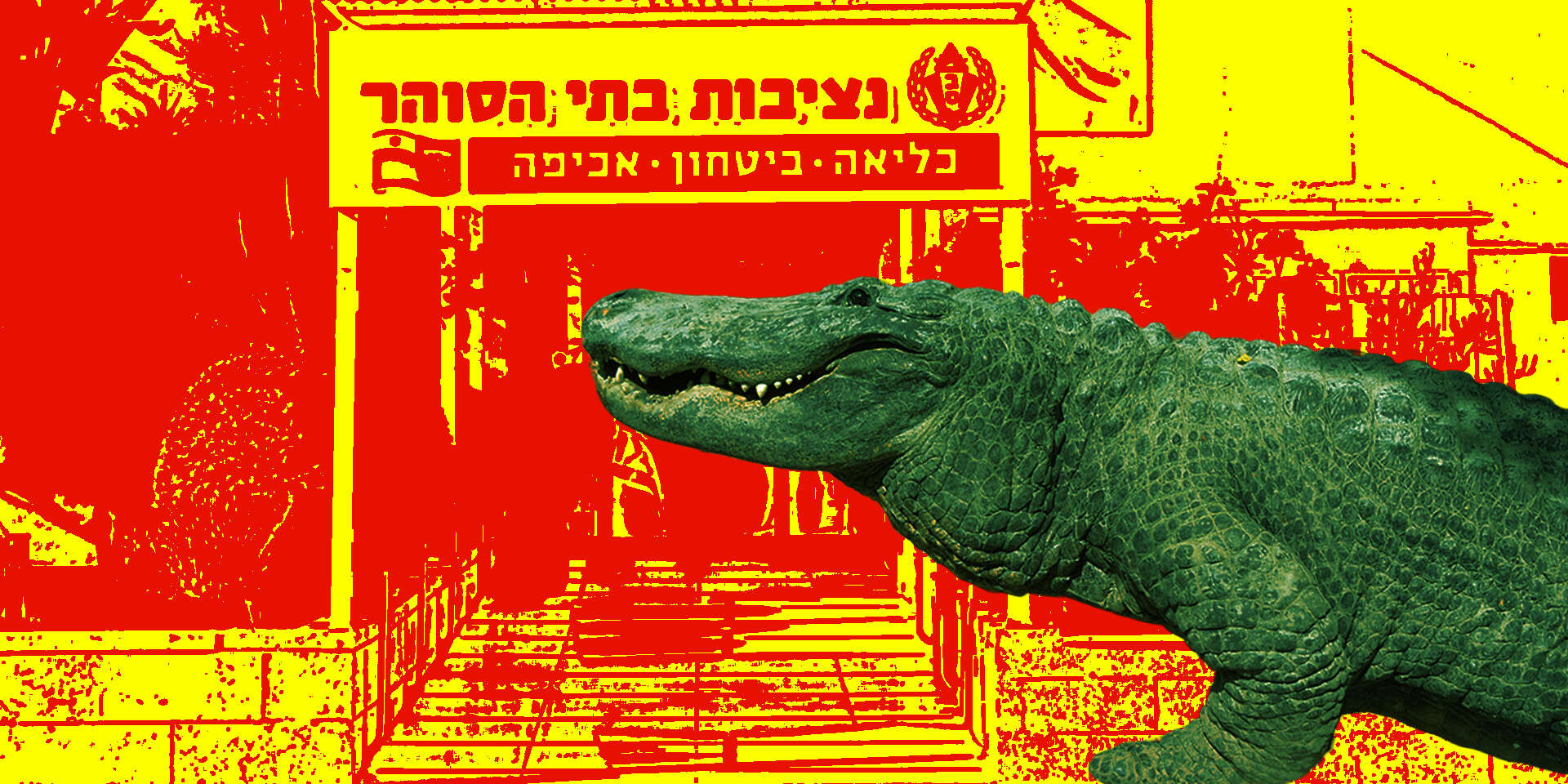 בקרוב במדי שב"ס? , משה שי, ג'יל אליהו/ג'יני
