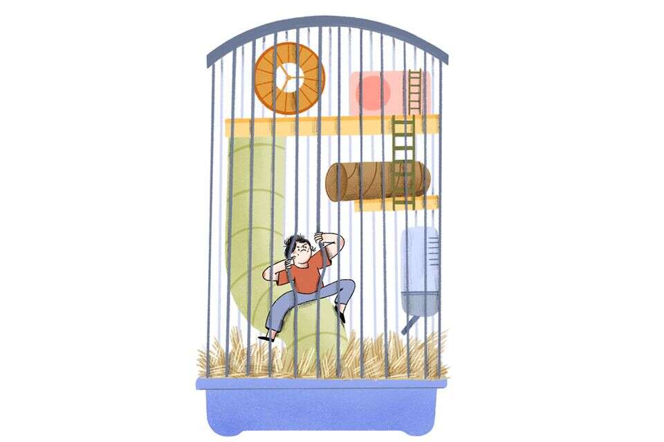 כאוגר בסורג , טליה דריגס