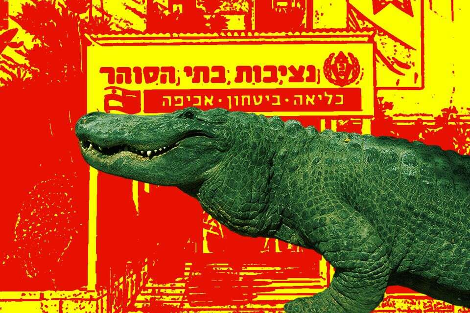 כלא התנינים של בן גביר נחשף: "זה אסון"