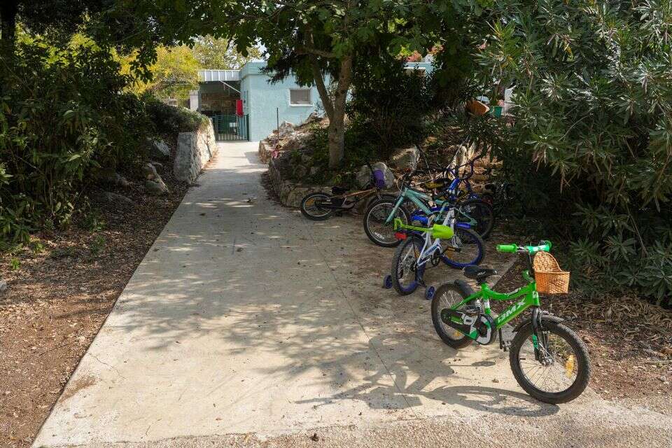 קיבוץ , אייל מרגולין - ג׳יני