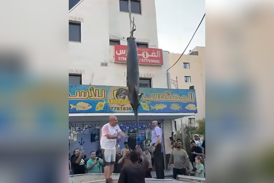 דג החרב שנתפס בירדן , סעיף 27א לחוק זכויות יוצרים