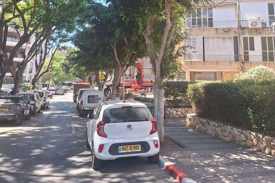 העץ בפתח תקווה , משרד החקלאות