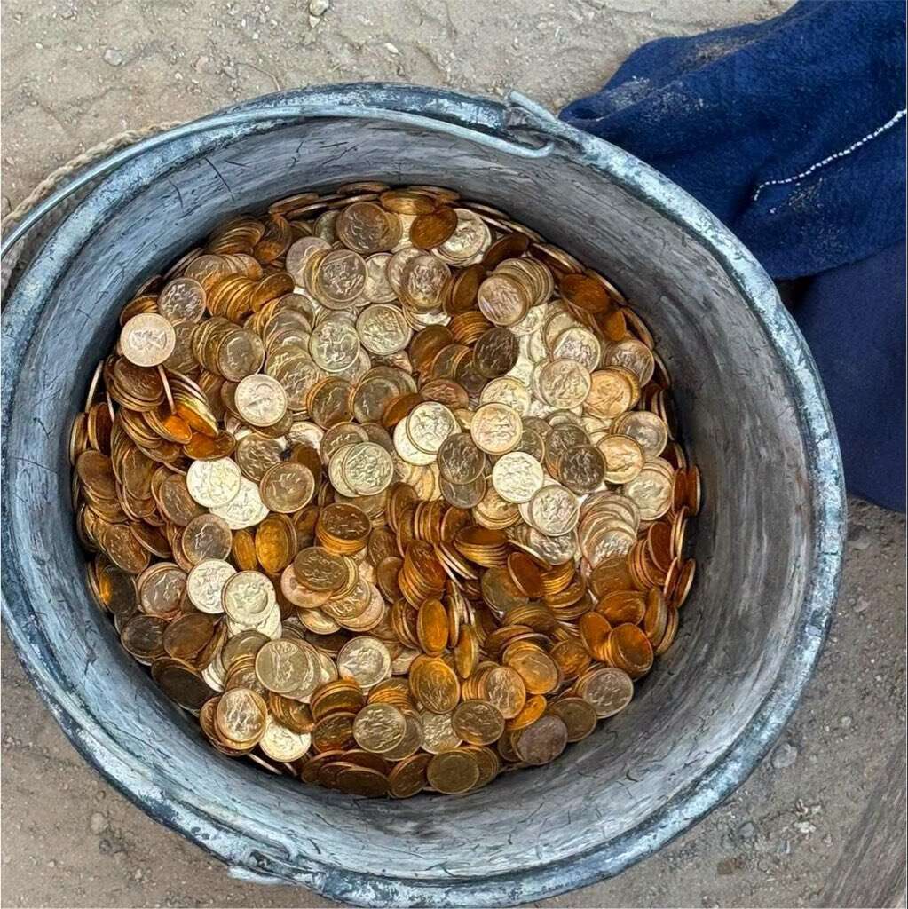 דלי מלא מטבעות זהב שנמצאו באתר , משטרת דנדרמונדה