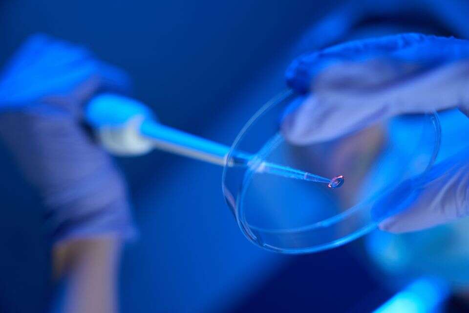 הקפאת ביציות הליך רפואי , istockphoto