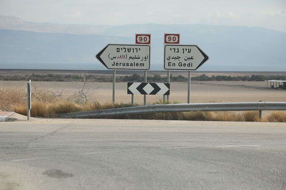 הערבה , גדעון מרקוביץ'