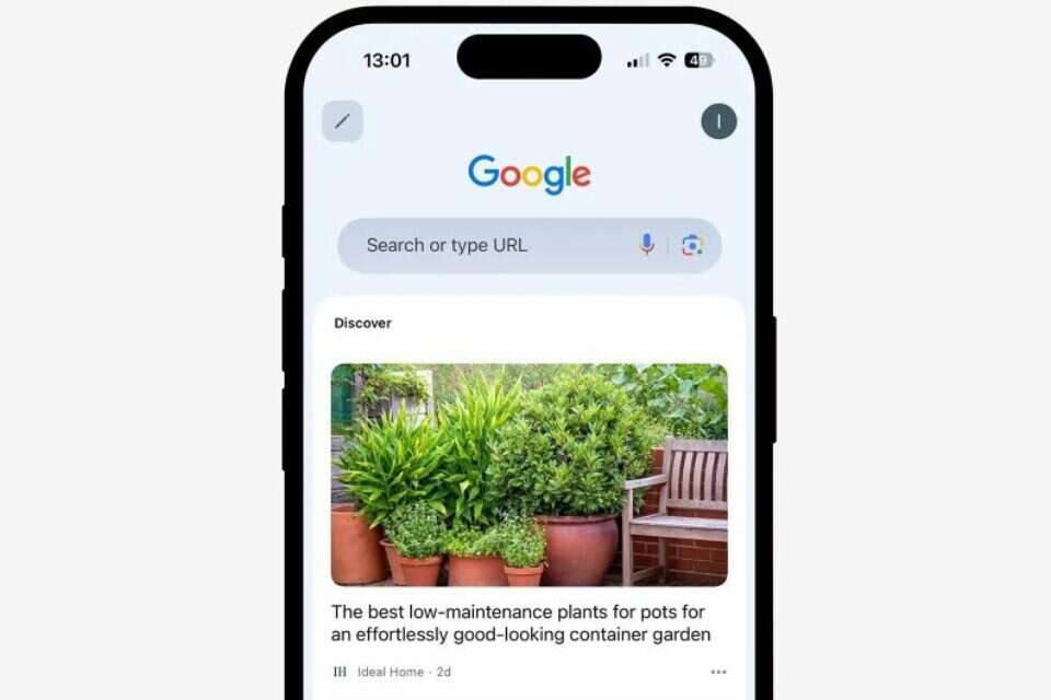 Google Discover , גוגל