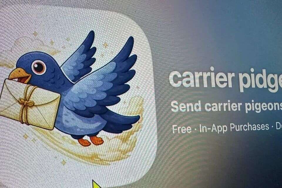 ההצלחה של Carrier Pidge אינה בודדת , Future