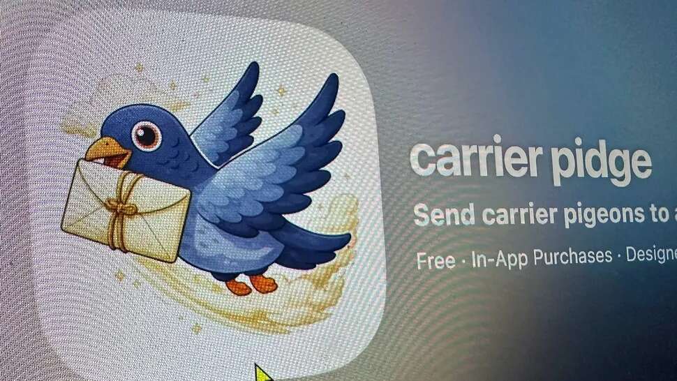The new trend driving users crazy: returning to sending messages with pigeons