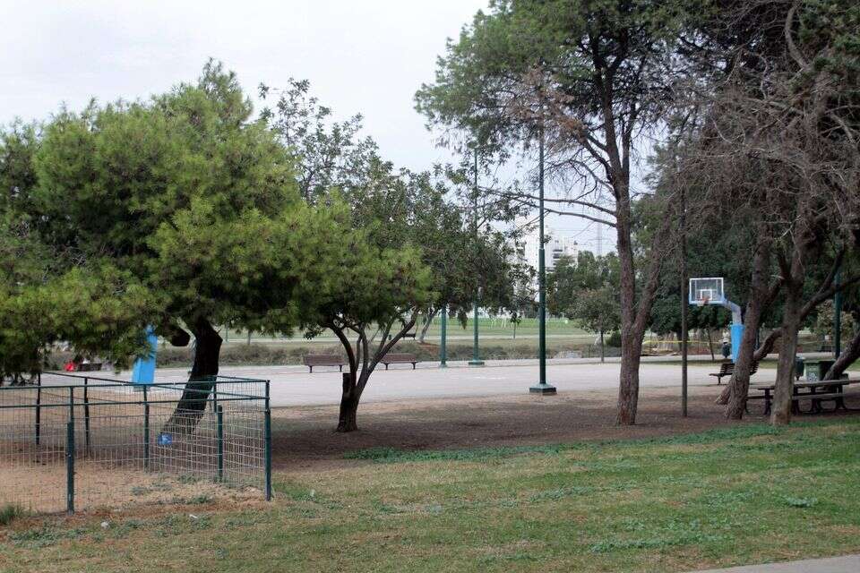 מגרש כדורסל. אילוסטרציה , אסנת קרסננסקי
