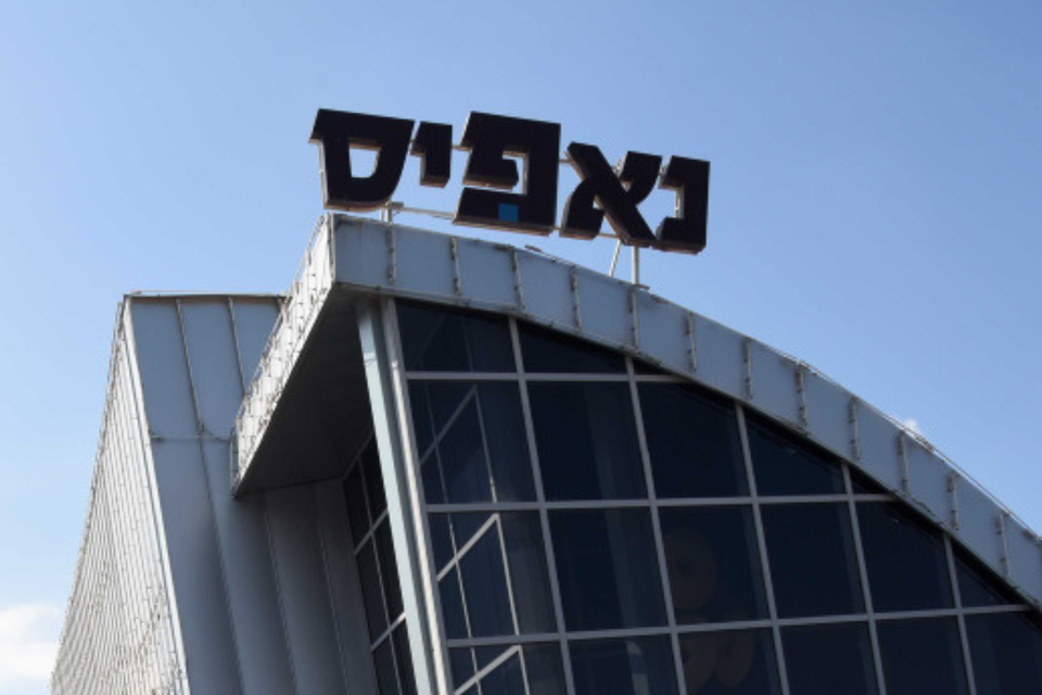 נאפיס. מנה חדשה ומפתיעה , דודו גרינשפן

