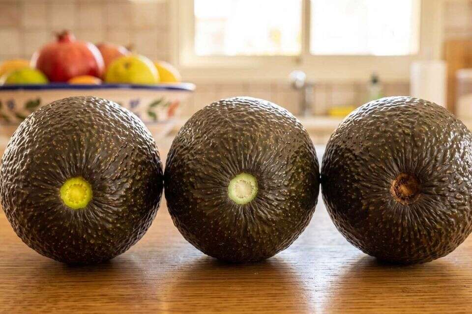 אחד מהם רקוב מבפנים , chatgpt
