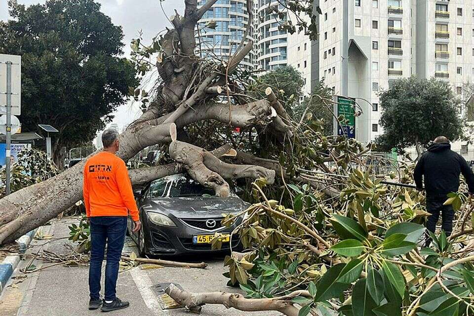 סערת חורף. עץ שקרס על רכב בתל אביב  , 
