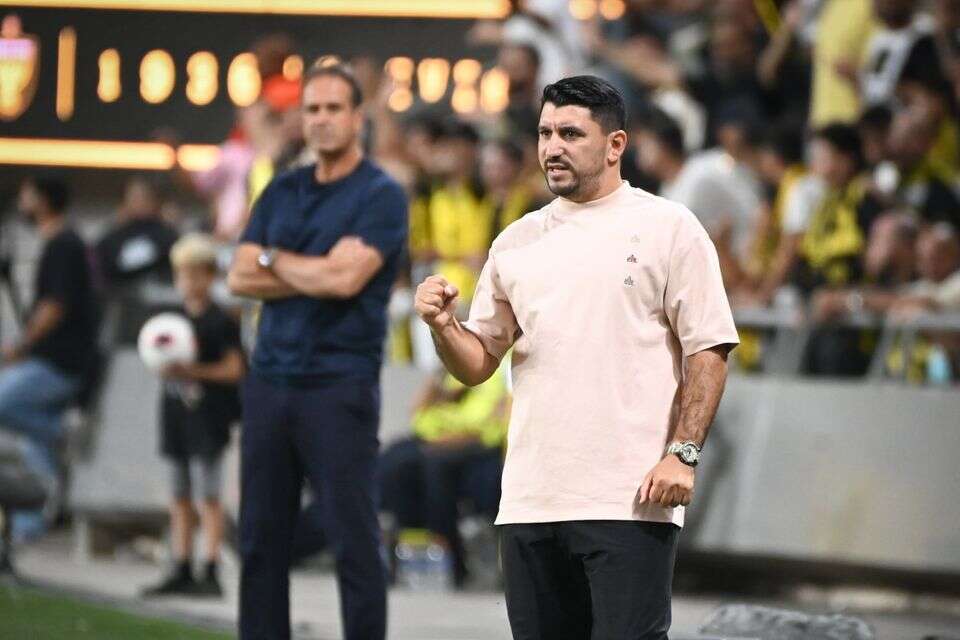 אלמוג כהן , ברני ארדוב