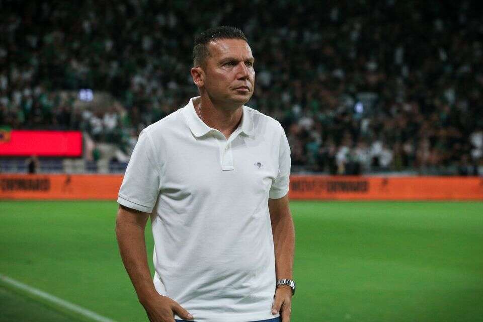 ברק בכר , עמי שומן