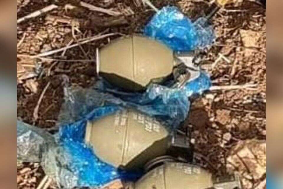 הרימונים שנתפסו במסלעה , דוברות המשטרה