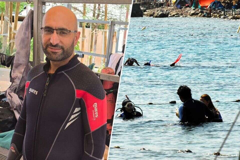 דר' דאהר אגבאריה, שהציל את בן ה-10 במפרץ אילת: "שניות של תגובה מהירה עשו את ההבדל" , Chameleons Eye/רפאל בן ארי, דוברות יוספטל
