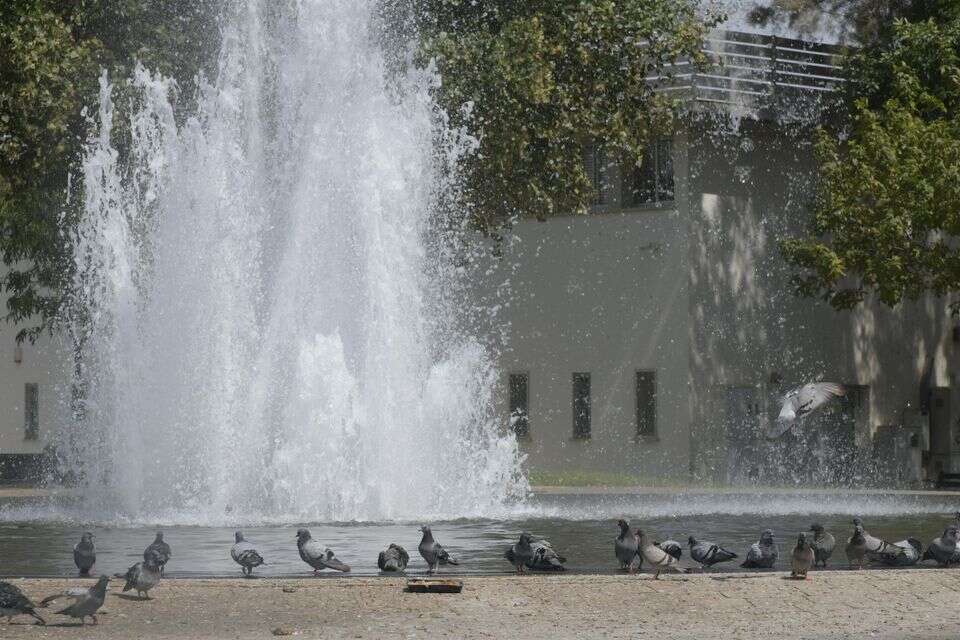 באר שבע (ארכיון) , דודו גרינשפן