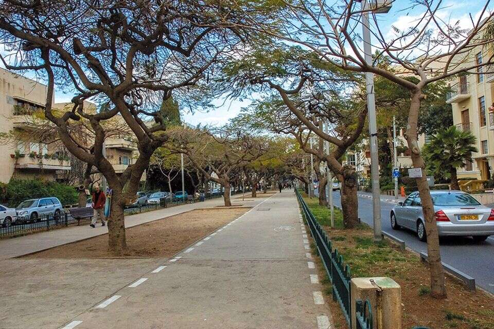 בין עצים, בניינים ואנשים - שביל האופניים בשדרות רוטשילד בתל אביב , ויקיפדיה