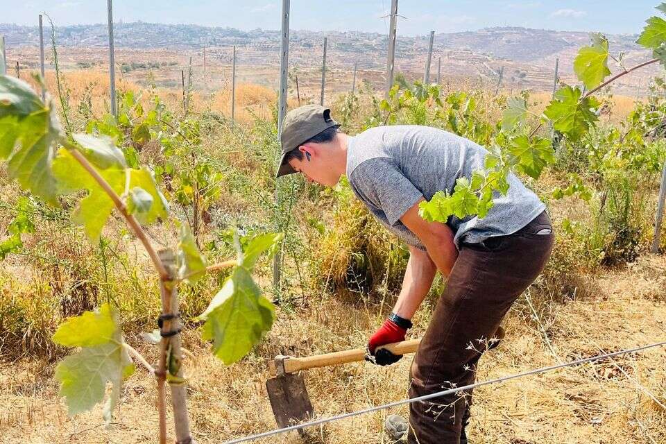 תלמיד "מקור חיים" עובד בשטח , חיבורים בחקלאות