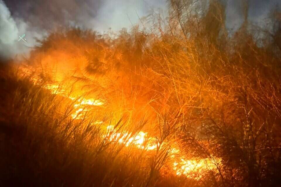 השריפה באזור הירקון ברמת גן , 