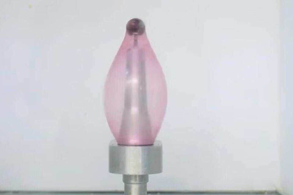 הסרטון של מכון התקנים שהפך לוויראלי , צילום מסך, מתוך אינסטגרם