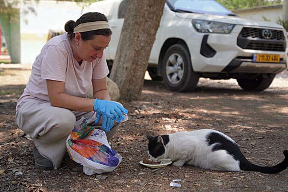 ילנה טרופנוב , יחצ