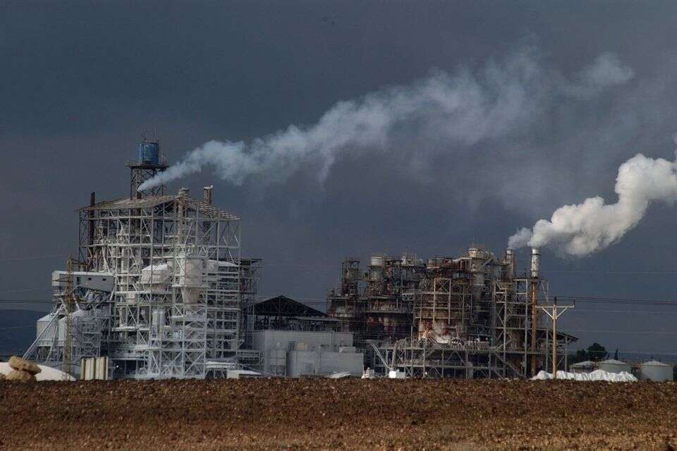 מפעלי רותם אמפרט (ארכיון) , דודו גרינשפן