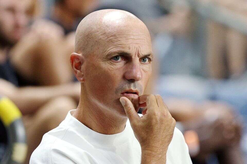 זיו אריה , אלן שיבר