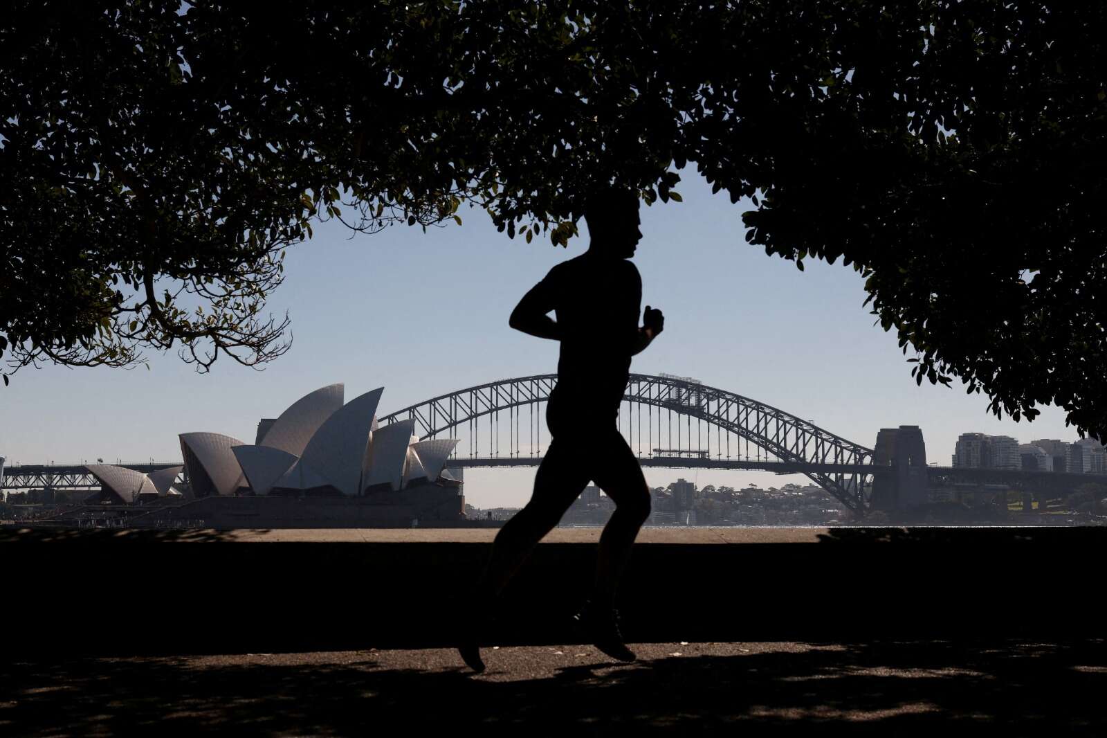 Extreme heatwave in Australia: Temperatures higher than average in Sydney