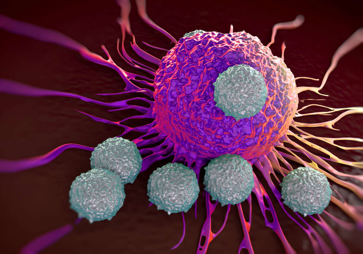 Israeli Breakthrough: Researchers at Ben-Gurion University Discover New Mechanism in the Fight Against Cancer