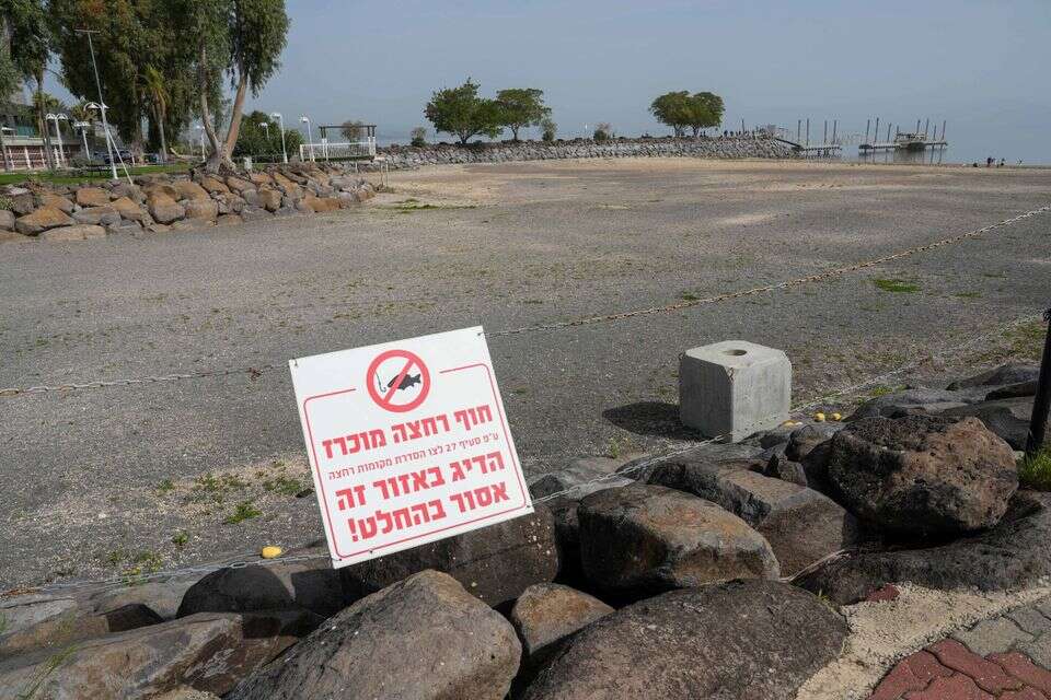 כנרת , אייל מרגולין-ג'יני