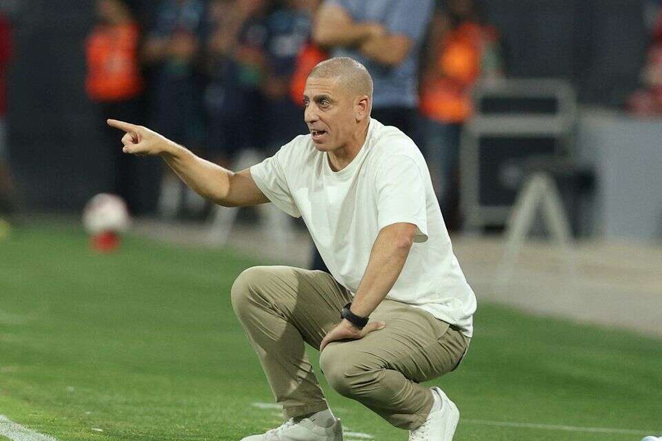 רן קוז'וך , אלן שיבר