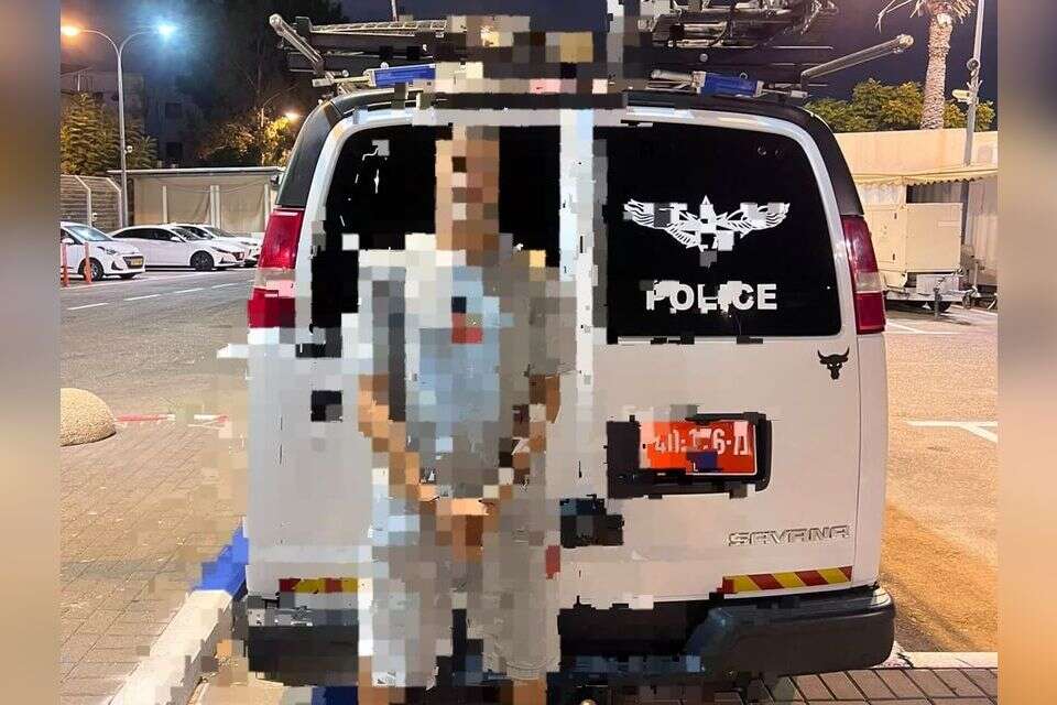 השתולל ברחובות חיפה , דוברות המשטרה