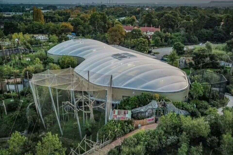 המבקרים מרעיפים מחמאות , Chester Zoo