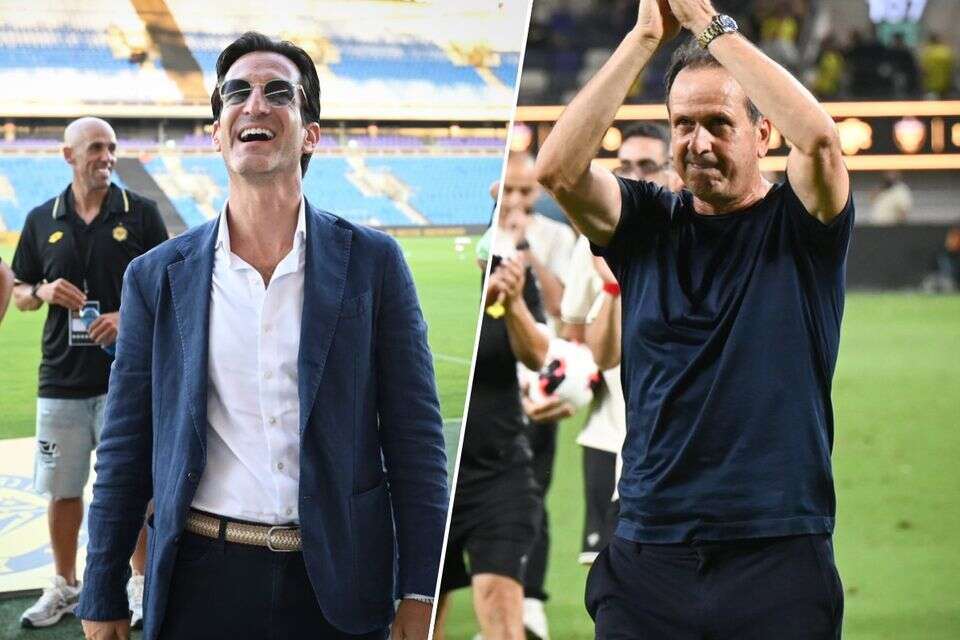רוני לוי ורוס קסטין , ברני ארדוב