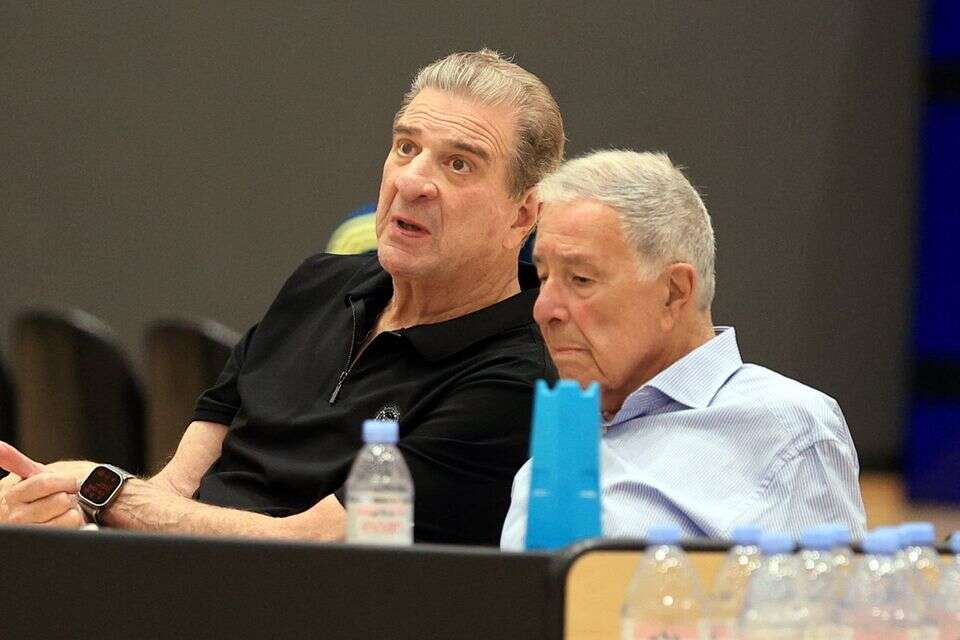 שמעון מזרחי ואודי רקנאטי , אלן שיבר