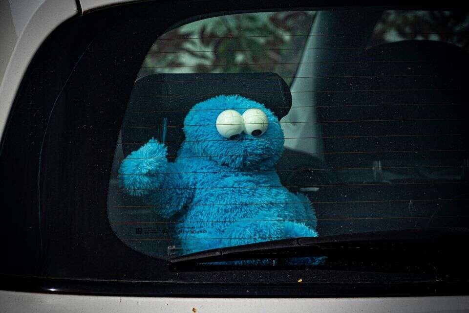 בני הדודים האנטיפתים או הנכדים האהובים על סבתא? בואו לגלות מי אתם סביב שולחן החג , unsplash